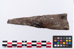 Foto von Eisenlanzenschuh (NHMW-PRAE-070978)